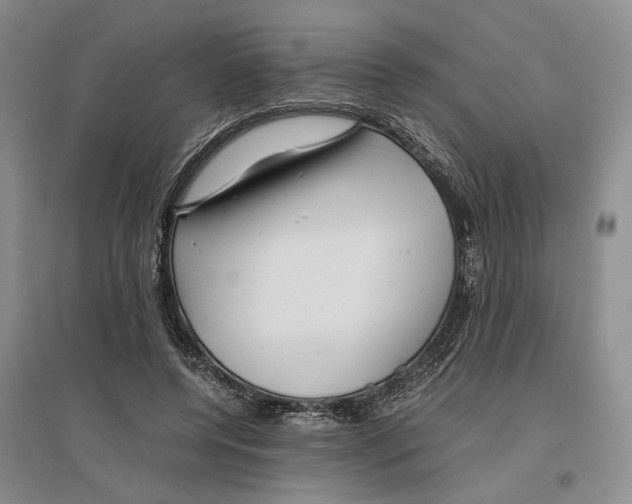 X0000096420544200802211126