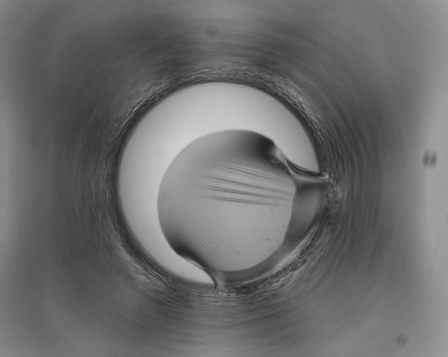 X0000096420546200802211126