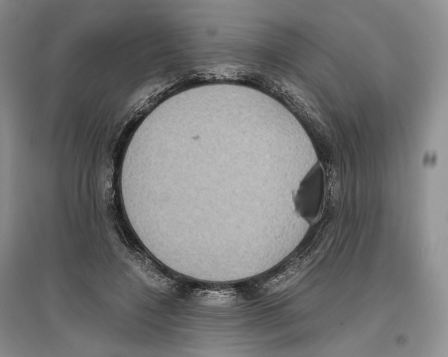 X0000096420548200802211126