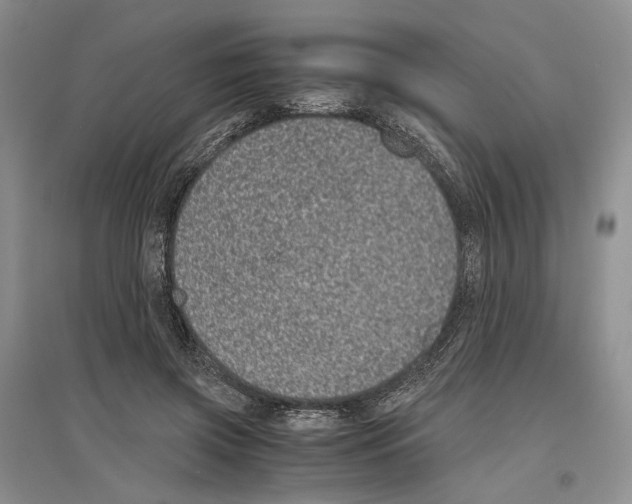 X0000096420549200802211126