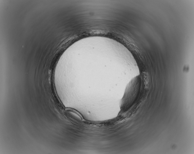X0000096420550200802211126