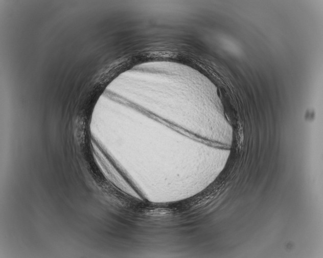X0000096420551200802211126