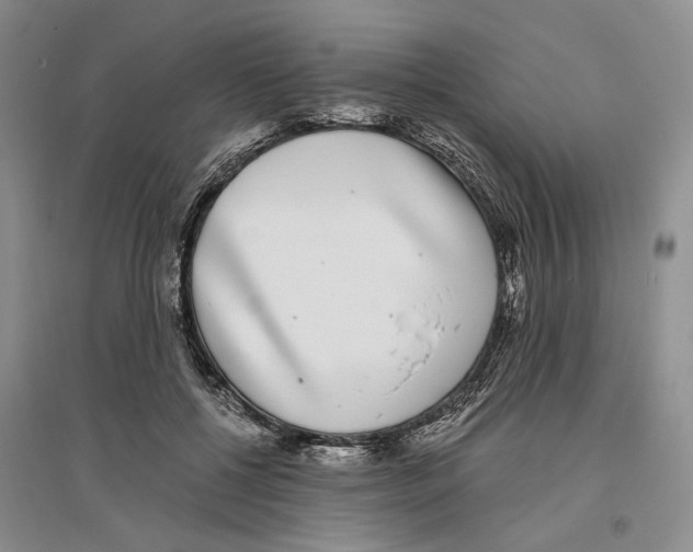 X0000096420552200802211126
