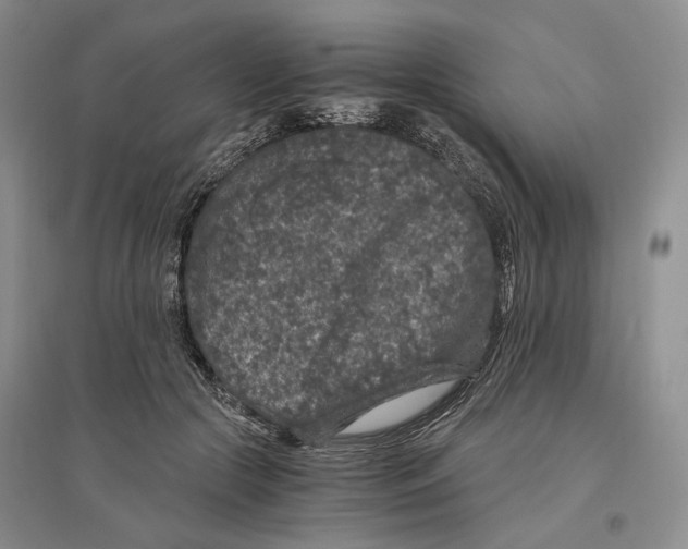 X0000096420553200802211126