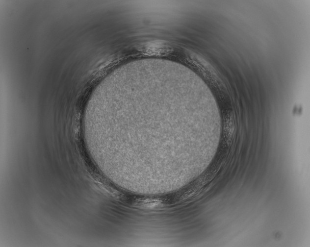 X0000096420554200802211126