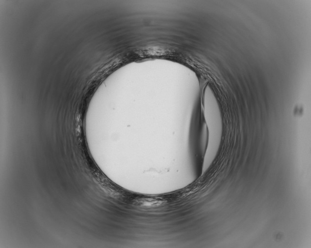X0000096420555200802211126