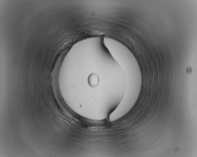 X0000096420556200802211126