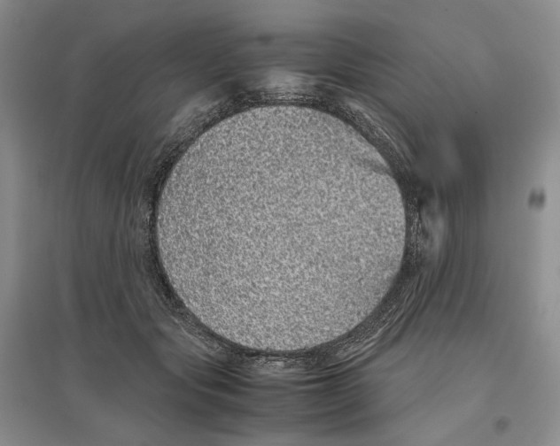 X0000096420557200802211126