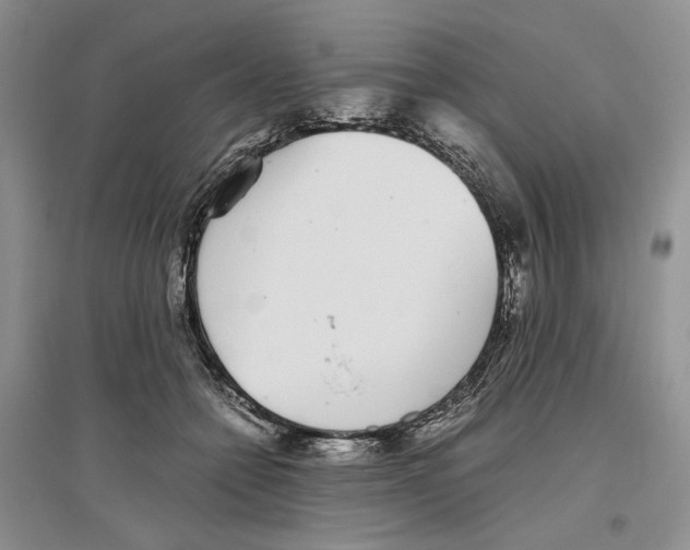 X0000096420558200802211126
