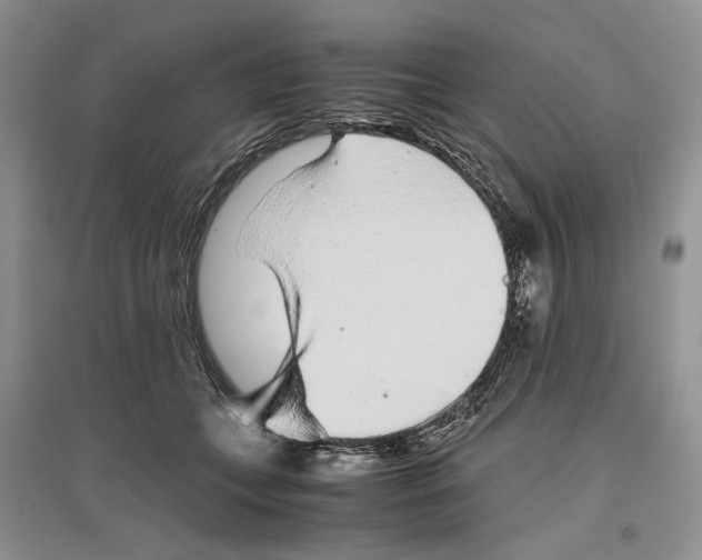 X0000096420559200802211126