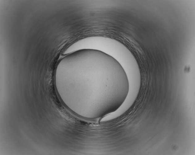 X0000096420560200802211126
