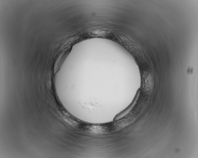X0000096420562200802211126