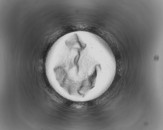 X0000096420563200802211126