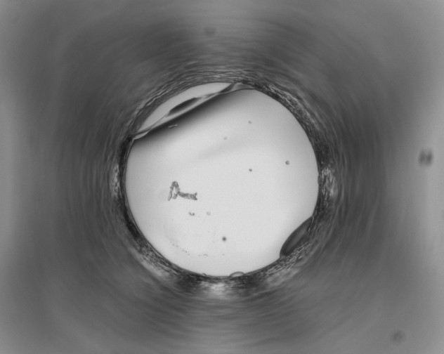 X0000096420564200802211126
