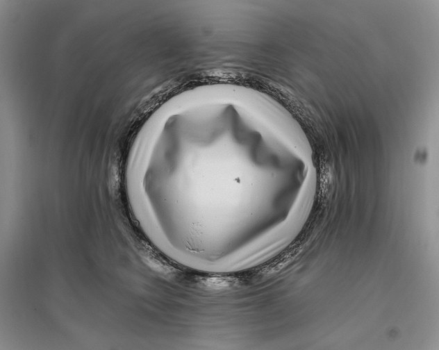 X0000096420566200802211126