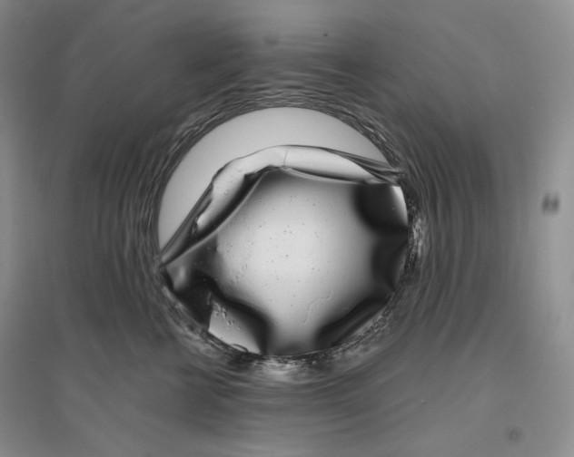 X0000096420570200802211126