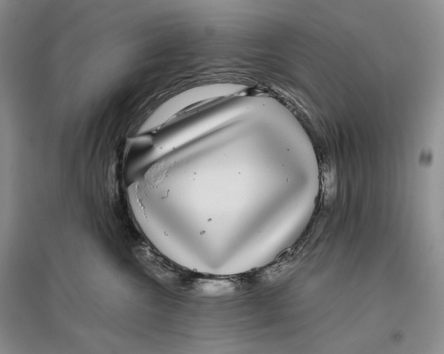 X0000096420572200802211126