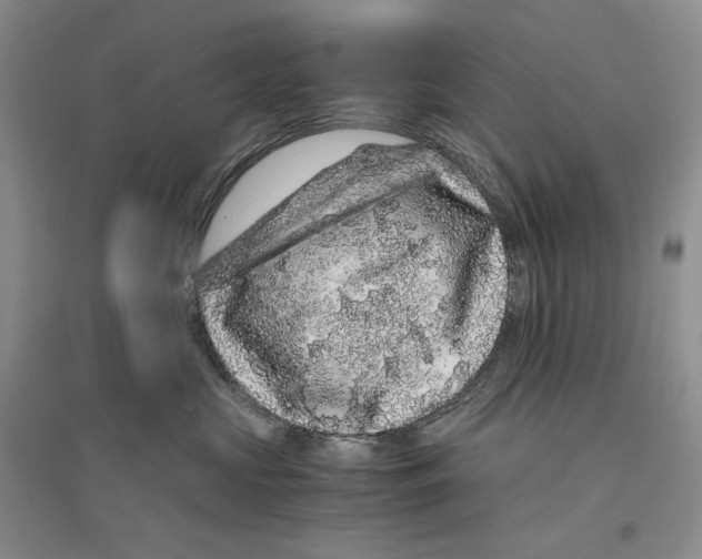 X0000096420573200802211126