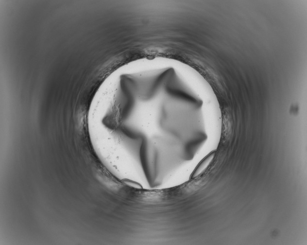 X0000096420574200802211126