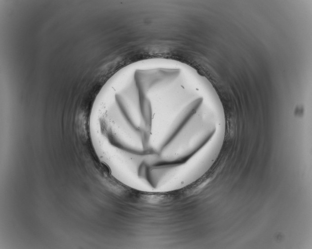 X0000096420575200802211126