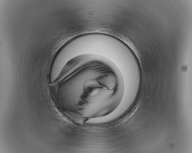 X0000096420577200802211126