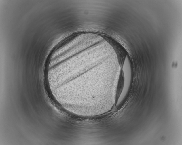 X0000096420578200802211126