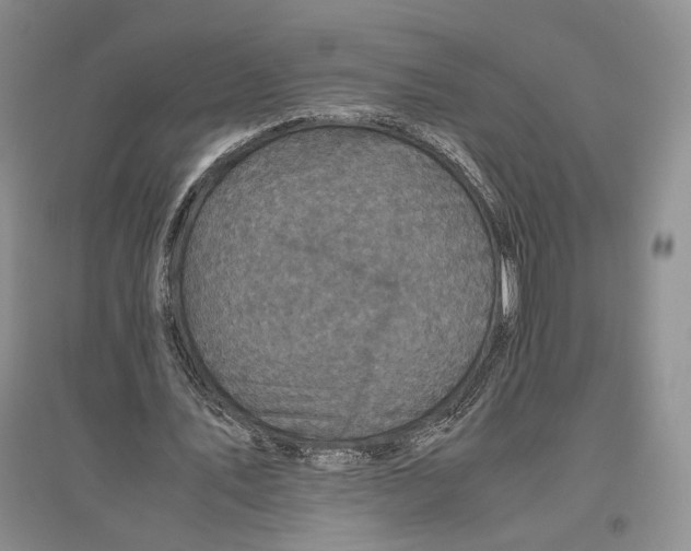 X0000096420579200802211126