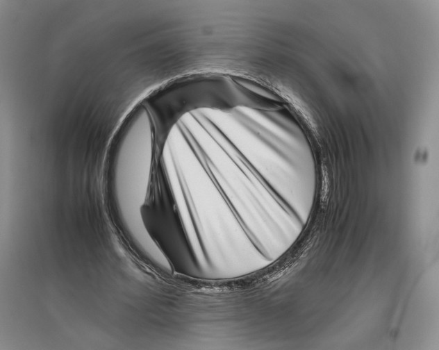 X0000096420580200802211126