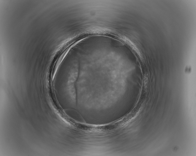 X0000096420581200802211126