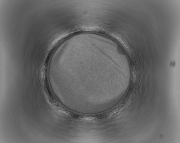 X0000096420583200802211126