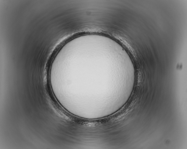 X0000096420584200802211126