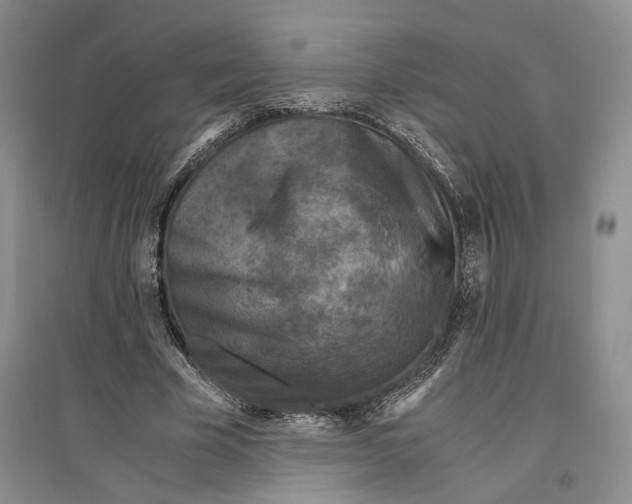 X0000096420585200802211126