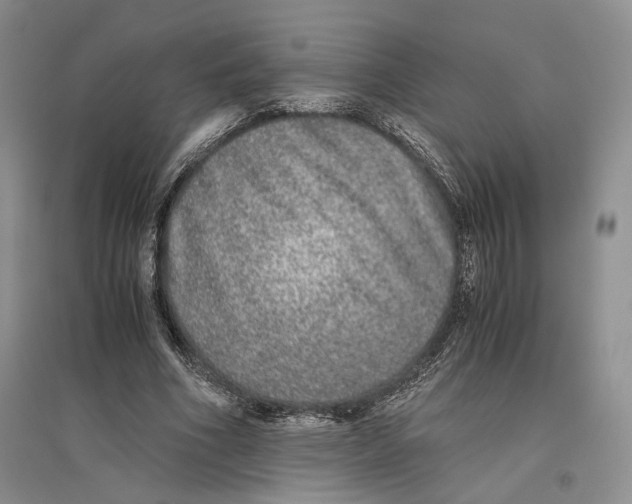 X0000096420586200802211126