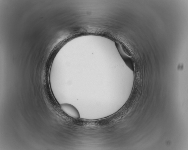 X0000096420587200802211126