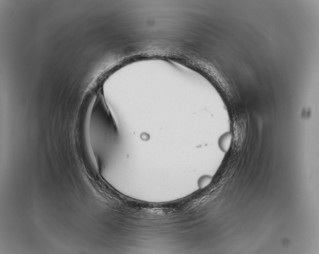 X0000096420588200802211126