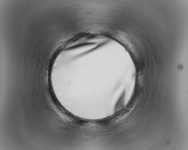 X0000096420589200802211126