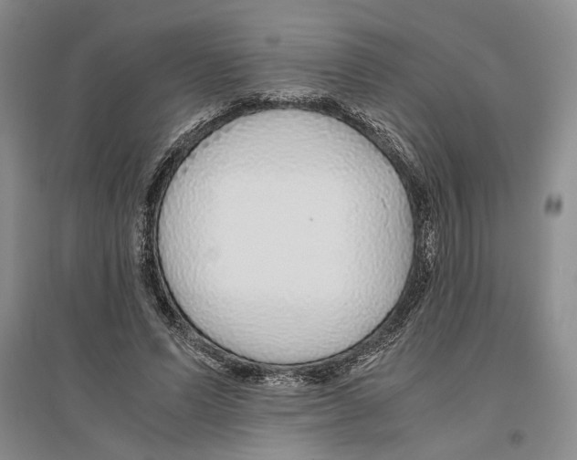 X0000096420591200802211126