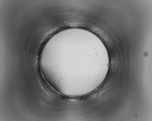 X0000096420592200802211126