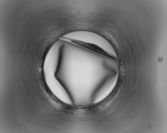 X0000096420593200802211126