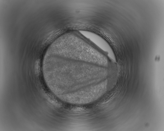 X0000096420594200802211126