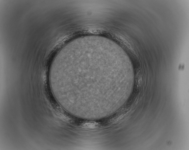 X0000096420595200802211126