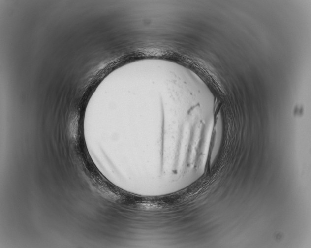 X0000096420596200802211126