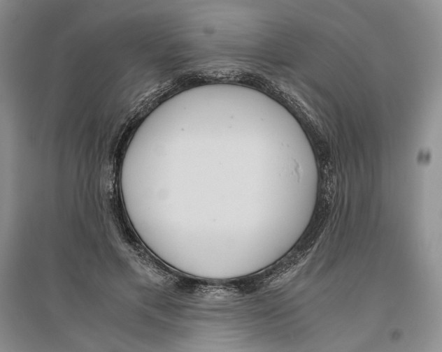 X0000096420597200802211126