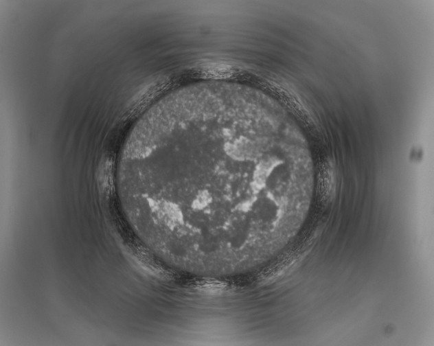 X0000096420598200802211126