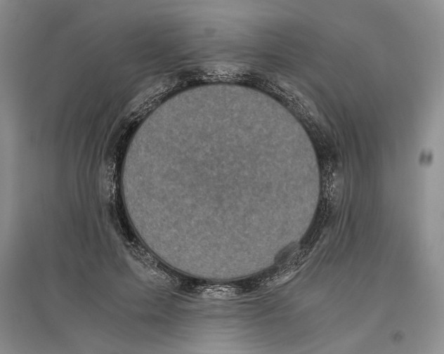 X0000096420599200802211126