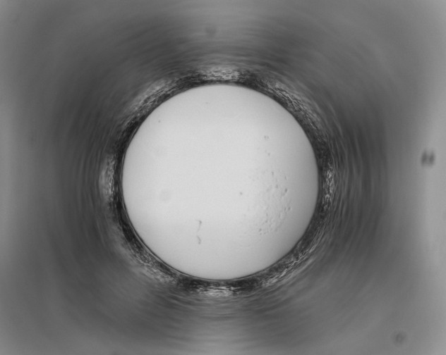 X0000096420600200802211126