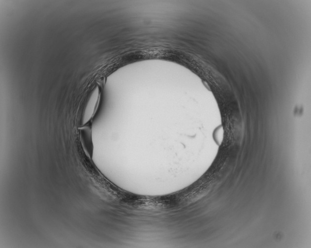 X0000096420601200802211125