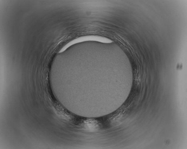 X0000096420603200802211125