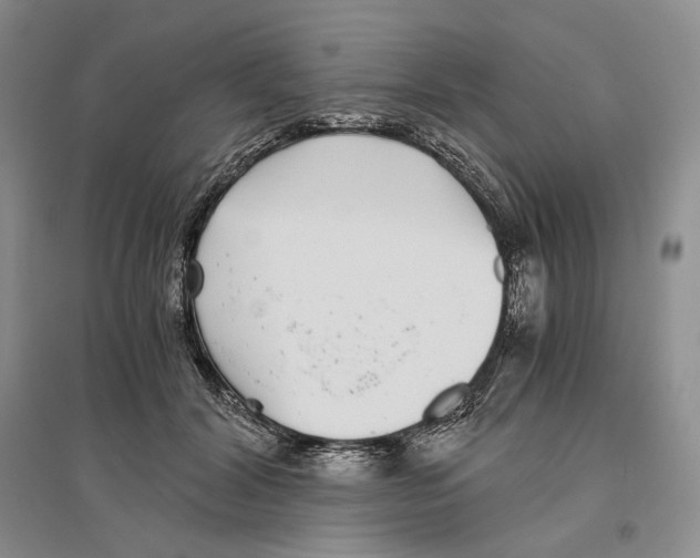 X0000096420604200802211125