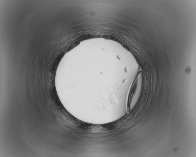 X0000096420605200802211125